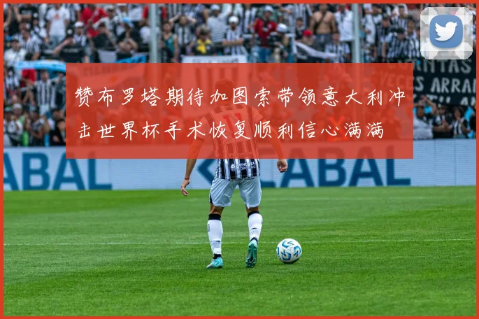 赞布罗塔期待加图索带领意大利冲击世界杯手术恢复顺利信心满满