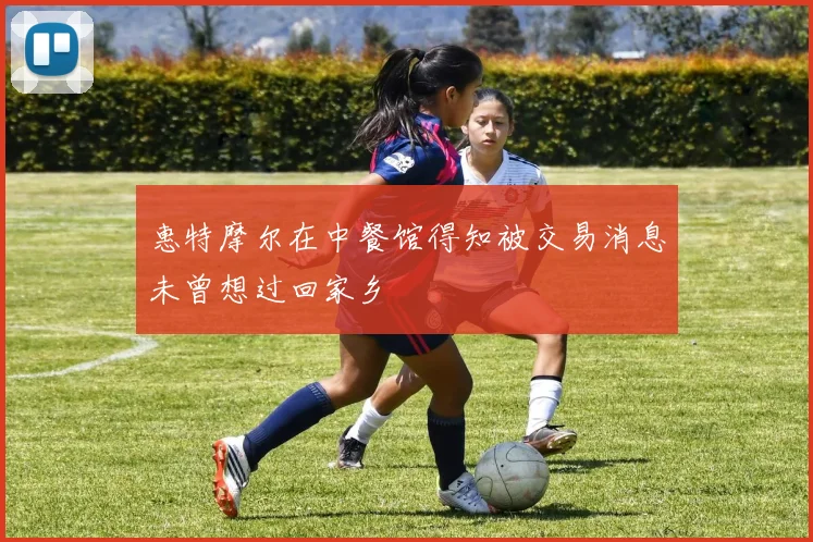 惠特摩尔在中餐馆得知被交易消息未曾想过回家乡